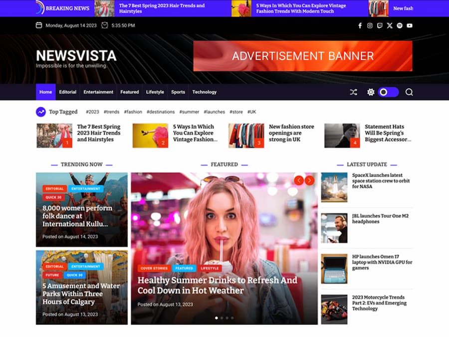 NewsVista WordPress news Theme