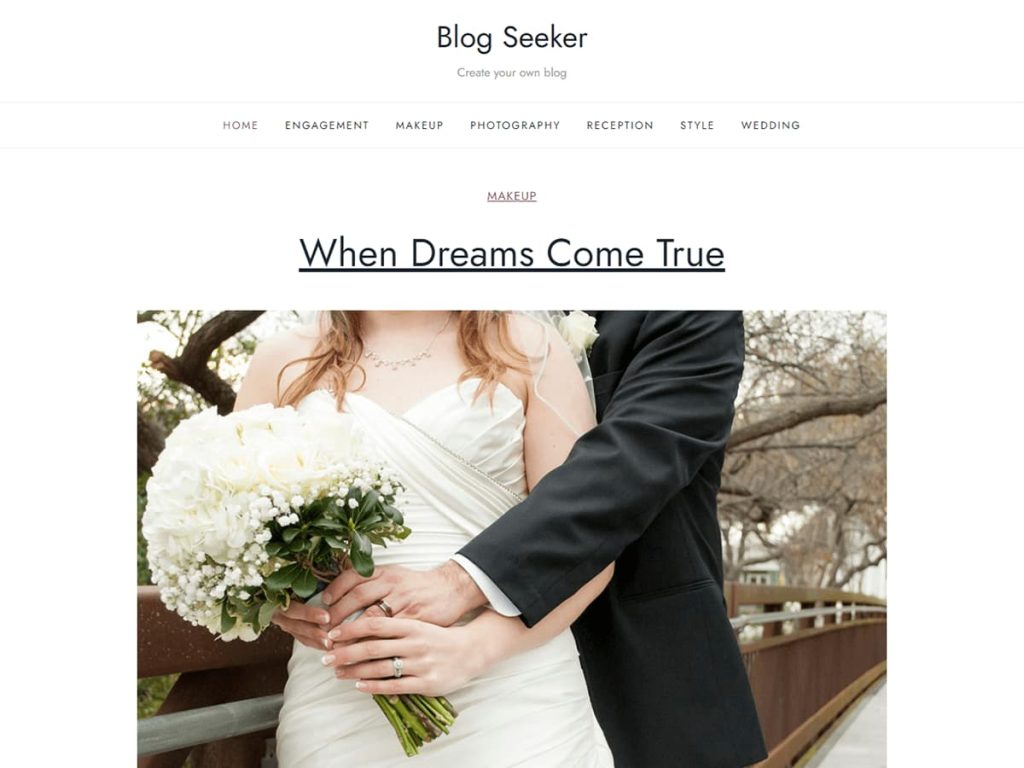Blog Seeker WordPress theme screenshot