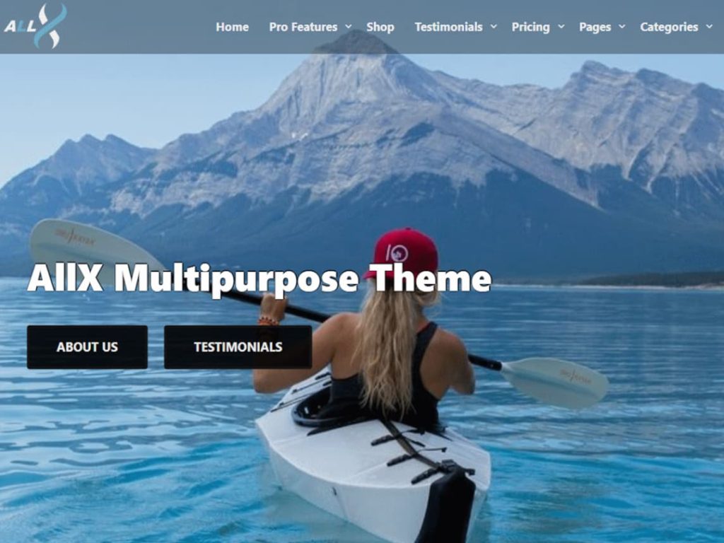 aiix WordPress theme screenshot