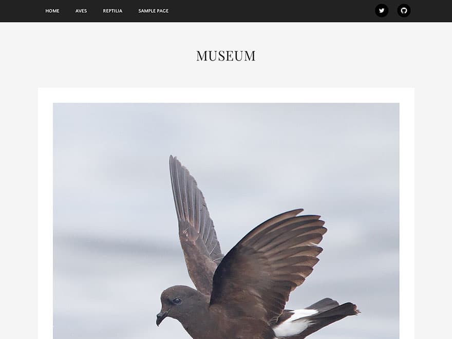 Museum WordPress theme screenshot