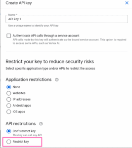 Google Cloud api key restriction