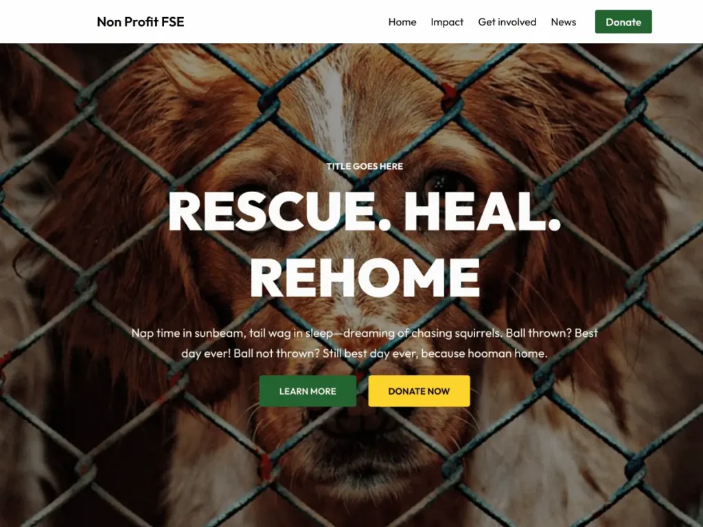 Non Profit FSE WordPress theme by Theneisle